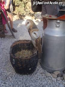 [P45] 42. În final apar încă două personaje.  » foto by msnd
 - 
<span class="allrVoted glyphicon glyphicon-heart hidden" id="av499258"></span>
<a class="m-l-10 hidden" id="sv499258" onclick="voting_Foto_DelVot(,499258,8504)" role="button">șterge vot <span class="glyphicon glyphicon-remove"></span></a>
<a id="v9499258" class=" c-red"  onclick="voting_Foto_SetVot(499258)" role="button"><span class="glyphicon glyphicon-heart-empty"></span> <b>LIKE</b> = Votează poza</a> <img class="hidden"  id="f499258W9" src="/imagini/loader.gif" border="0" /><span class="AjErrMes hidden" id="e499258ErM"></span>