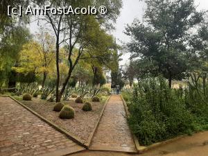 [P87] Jardin Jnana Sbil » foto by adso
 - 
<span class="allrVoted glyphicon glyphicon-heart hidden" id="av1547293"></span>
<a class="m-l-10 hidden" id="sv1547293" onclick="voting_Foto_DelVot(,1547293,8506)" role="button">șterge vot <span class="glyphicon glyphicon-remove"></span></a>
<a id="v91547293" class=" c-red"  onclick="voting_Foto_SetVot(1547293)" role="button"><span class="glyphicon glyphicon-heart-empty"></span> <b>LIKE</b> = Votează poza</a> <img class="hidden"  id="f1547293W9" src="/imagini/loader.gif" border="0" /><span class="AjErrMes hidden" id="e1547293ErM"></span>