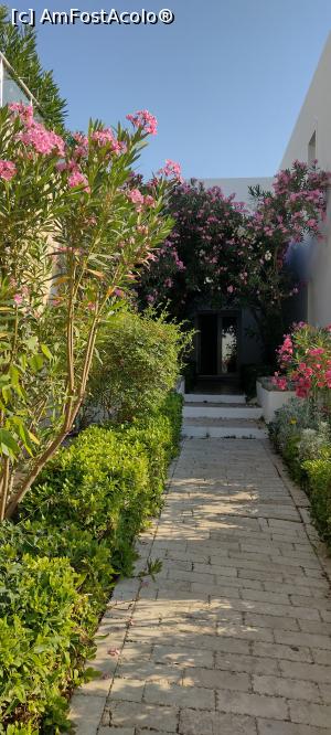 [P17] Alei Hotel Salmakis » foto by michaela_1961
 - 
<span class="allrVoted glyphicon glyphicon-heart hidden" id="av1324525"></span>
<a class="m-l-10 hidden" id="sv1324525" onclick="voting_Foto_DelVot(,1324525,8524)" role="button">șterge vot <span class="glyphicon glyphicon-remove"></span></a>
<a id="v91324525" class=" c-red"  onclick="voting_Foto_SetVot(1324525)" role="button"><span class="glyphicon glyphicon-heart-empty"></span> <b>LIKE</b> = Votează poza</a> <img class="hidden"  id="f1324525W9" src="/imagini/loader.gif" border="0" /><span class="AjErrMes hidden" id="e1324525ErM"></span>