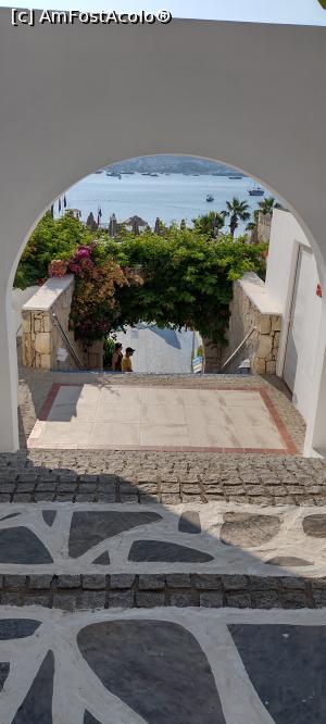 [P24] Alei Hotel Salmakis, de aici se vede marea » foto by michaela_1961
 - 
<span class="allrVoted glyphicon glyphicon-heart hidden" id="av1324532"></span>
<a class="m-l-10 hidden" id="sv1324532" onclick="voting_Foto_DelVot(,1324532,8524)" role="button">șterge vot <span class="glyphicon glyphicon-remove"></span></a>
<a id="v91324532" class=" c-red"  onclick="voting_Foto_SetVot(1324532)" role="button"><span class="glyphicon glyphicon-heart-empty"></span> <b>LIKE</b> = Votează poza</a> <img class="hidden"  id="f1324532W9" src="/imagini/loader.gif" border="0" /><span class="AjErrMes hidden" id="e1324532ErM"></span>