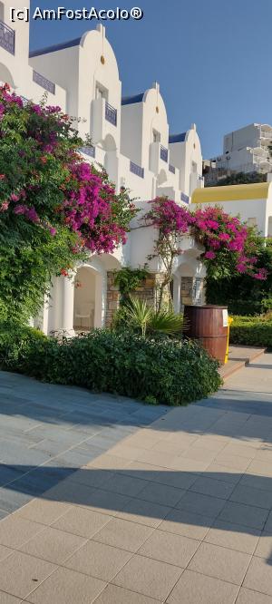 [P28] Alei Hotel Salmakis » foto by michaela_1961
 - 
<span class="allrVoted glyphicon glyphicon-heart hidden" id="av1324536"></span>
<a class="m-l-10 hidden" id="sv1324536" onclick="voting_Foto_DelVot(,1324536,8524)" role="button">șterge vot <span class="glyphicon glyphicon-remove"></span></a>
<a id="v91324536" class=" c-red"  onclick="voting_Foto_SetVot(1324536)" role="button"><span class="glyphicon glyphicon-heart-empty"></span> <b>LIKE</b> = Votează poza</a> <img class="hidden"  id="f1324536W9" src="/imagini/loader.gif" border="0" /><span class="AjErrMes hidden" id="e1324536ErM"></span>