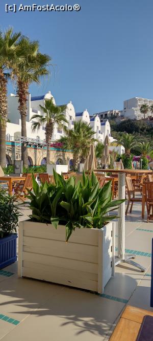 [P29] Terasa Hotel Salmakis » foto by michaela_1961
 - 
<span class="allrVoted glyphicon glyphicon-heart hidden" id="av1324537"></span>
<a class="m-l-10 hidden" id="sv1324537" onclick="voting_Foto_DelVot(,1324537,8524)" role="button">șterge vot <span class="glyphicon glyphicon-remove"></span></a>
<a id="v91324537" class=" c-red"  onclick="voting_Foto_SetVot(1324537)" role="button"><span class="glyphicon glyphicon-heart-empty"></span> <b>LIKE</b> = Votează poza</a> <img class="hidden"  id="f1324537W9" src="/imagini/loader.gif" border="0" /><span class="AjErrMes hidden" id="e1324537ErM"></span>