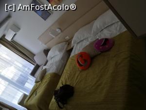 [P02]  -- <small>// FĂRĂ DESCRIERE</small> » foto by aleLuca
 - 
<span class="allrVoted glyphicon glyphicon-heart hidden" id="av1106109"></span>
<a class="m-l-10 hidden" id="sv1106109" onclick="voting_Foto_DelVot(,1106109,8536)" role="button">șterge vot <span class="glyphicon glyphicon-remove"></span></a>
<a id="v91106109" class=" c-red"  onclick="voting_Foto_SetVot(1106109)" role="button"><span class="glyphicon glyphicon-heart-empty"></span> <b>LIKE</b> = Votează poza</a> <img class="hidden"  id="f1106109W9" src="/imagini/loader.gif" border="0" /><span class="AjErrMes hidden" id="e1106109ErM"></span>