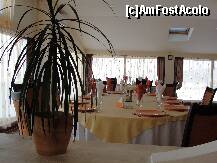 [P14] Decor din interiorul restaurantului » foto by dananecula*
 - 
<span class="allrVoted glyphicon glyphicon-heart hidden" id="av185887"></span>
<a class="m-l-10 hidden" id="sv185887" onclick="voting_Foto_DelVot(,185887,8551)" role="button">șterge vot <span class="glyphicon glyphicon-remove"></span></a>
<a id="v9185887" class=" c-red"  onclick="voting_Foto_SetVot(185887)" role="button"><span class="glyphicon glyphicon-heart-empty"></span> <b>LIKE</b> = Votează poza</a> <img class="hidden"  id="f185887W9" src="/imagini/loader.gif" border="0" /><span class="AjErrMes hidden" id="e185887ErM"></span>