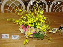 [P10] Nu pot sa ma abtin si inca un aranjament floral sa vi-l prezint » foto by dananecula*
 - 
<span class="allrVoted glyphicon glyphicon-heart hidden" id="av90814"></span>
<a class="m-l-10 hidden" id="sv90814" onclick="voting_Foto_DelVot(,90814,8570)" role="button">șterge vot <span class="glyphicon glyphicon-remove"></span></a>
<a id="v990814" class=" c-red"  onclick="voting_Foto_SetVot(90814)" role="button"><span class="glyphicon glyphicon-heart-empty"></span> <b>LIKE</b> = Votează poza</a> <img class="hidden"  id="f90814W9" src="/imagini/loader.gif" border="0" /><span class="AjErrMes hidden" id="e90814ErM"></span>