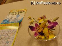 [P16] In camera explorand harta Osaka langa frumoasa floare de orhidee » foto by dananecula*
 - 
<span class="allrVoted glyphicon glyphicon-heart hidden" id="av90820"></span>
<a class="m-l-10 hidden" id="sv90820" onclick="voting_Foto_DelVot(,90820,8570)" role="button">șterge vot <span class="glyphicon glyphicon-remove"></span></a>
<a id="v990820" class=" c-red"  onclick="voting_Foto_SetVot(90820)" role="button"><span class="glyphicon glyphicon-heart-empty"></span> <b>LIKE</b> = Votează poza</a> <img class="hidden"  id="f90820W9" src="/imagini/loader.gif" border="0" /><span class="AjErrMes hidden" id="e90820ErM"></span>