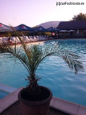 [P05] Piscina, spre seară.  » foto by cristina.eu
 - 
<span class="allrVoted glyphicon glyphicon-heart hidden" id="av654568"></span>
<a class="m-l-10 hidden" id="sv654568" onclick="voting_Foto_DelVot(,654568,8589)" role="button">șterge vot <span class="glyphicon glyphicon-remove"></span></a>
<a id="v9654568" class=" c-red"  onclick="voting_Foto_SetVot(654568)" role="button"><span class="glyphicon glyphicon-heart-empty"></span> <b>LIKE</b> = Votează poza</a> <img class="hidden"  id="f654568W9" src="/imagini/loader.gif" border="0" /><span class="AjErrMes hidden" id="e654568ErM"></span>