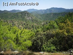 [P03] Munții Troodos, în drum spre Mânăstirea Kikkos » foto by crismis
 - 
<span class="allrVoted glyphicon glyphicon-heart hidden" id="av1228646"></span>
<a class="m-l-10 hidden" id="sv1228646" onclick="voting_Foto_DelVot(,1228646,8662)" role="button">șterge vot <span class="glyphicon glyphicon-remove"></span></a>
<a id="v91228646" class=" c-red"  onclick="voting_Foto_SetVot(1228646)" role="button"><span class="glyphicon glyphicon-heart-empty"></span> <b>LIKE</b> = Votează poza</a> <img class="hidden"  id="f1228646W9" src="/imagini/loader.gif" border="0" /><span class="AjErrMes hidden" id="e1228646ErM"></span>