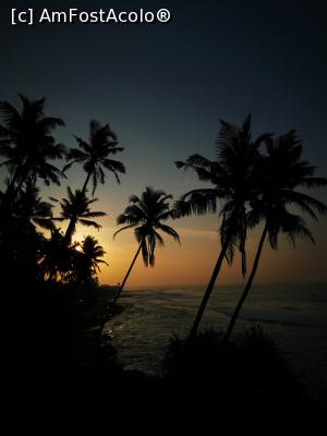 [P25] Coconut Tree Hill » foto by cata2106
 - 
<span class="allrVoted glyphicon glyphicon-heart hidden" id="av1286545"></span>
<a class="m-l-10 hidden" id="sv1286545" onclick="voting_Foto_DelVot(,1286545,8783)" role="button">șterge vot <span class="glyphicon glyphicon-remove"></span></a>
<a id="v91286545" class=" c-red"  onclick="voting_Foto_SetVot(1286545)" role="button"><span class="glyphicon glyphicon-heart-empty"></span> <b>LIKE</b> = Votează poza</a> <img class="hidden"  id="f1286545W9" src="/imagini/loader.gif" border="0" /><span class="AjErrMes hidden" id="e1286545ErM"></span>