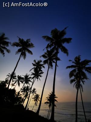 [P28] Coconut Tree Hill » foto by cata2106
 - 
<span class="allrVoted glyphicon glyphicon-heart hidden" id="av1286548"></span>
<a class="m-l-10 hidden" id="sv1286548" onclick="voting_Foto_DelVot(,1286548,8783)" role="button">șterge vot <span class="glyphicon glyphicon-remove"></span></a>
<a id="v91286548" class=" c-red"  onclick="voting_Foto_SetVot(1286548)" role="button"><span class="glyphicon glyphicon-heart-empty"></span> <b>LIKE</b> = Votează poza</a> <img class="hidden"  id="f1286548W9" src="/imagini/loader.gif" border="0" /><span class="AjErrMes hidden" id="e1286548ErM"></span>