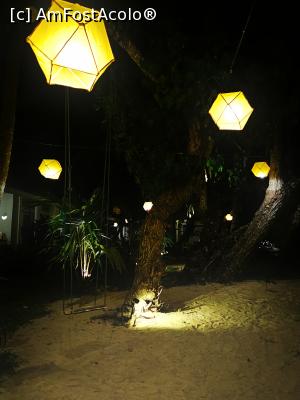 [P47] Plaja seara » foto by cata2106
 - 
<span class="allrVoted glyphicon glyphicon-heart hidden" id="av1286567"></span>
<a class="m-l-10 hidden" id="sv1286567" onclick="voting_Foto_DelVot(,1286567,8783)" role="button">șterge vot <span class="glyphicon glyphicon-remove"></span></a>
<a id="v91286567" class=" c-red"  onclick="voting_Foto_SetVot(1286567)" role="button"><span class="glyphicon glyphicon-heart-empty"></span> <b>LIKE</b> = Votează poza</a> <img class="hidden"  id="f1286567W9" src="/imagini/loader.gif" border="0" /><span class="AjErrMes hidden" id="e1286567ErM"></span>