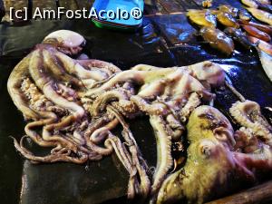 [P48] Caracatiță prospăt pescuită » foto by cata2106
 - 
<span class="allrVoted glyphicon glyphicon-heart hidden" id="av1286568"></span>
<a class="m-l-10 hidden" id="sv1286568" onclick="voting_Foto_DelVot(,1286568,8783)" role="button">șterge vot <span class="glyphicon glyphicon-remove"></span></a>
<a id="v91286568" class=" c-red"  onclick="voting_Foto_SetVot(1286568)" role="button"><span class="glyphicon glyphicon-heart-empty"></span> <b>LIKE</b> = Votează poza</a> <img class="hidden"  id="f1286568W9" src="/imagini/loader.gif" border="0" /><span class="AjErrMes hidden" id="e1286568ErM"></span>