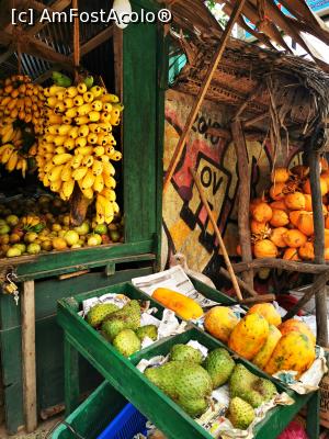 [P59] Tarabe cu fructe » foto by cata2106
 - 
<span class="allrVoted glyphicon glyphicon-heart hidden" id="av1286579"></span>
<a class="m-l-10 hidden" id="sv1286579" onclick="voting_Foto_DelVot(,1286579,8783)" role="button">șterge vot <span class="glyphicon glyphicon-remove"></span></a>
<a id="v91286579" class=" c-red"  onclick="voting_Foto_SetVot(1286579)" role="button"><span class="glyphicon glyphicon-heart-empty"></span> <b>LIKE</b> = Votează poza</a> <img class="hidden"  id="f1286579W9" src="/imagini/loader.gif" border="0" /><span class="AjErrMes hidden" id="e1286579ErM"></span>