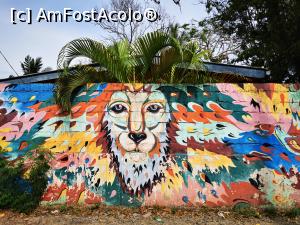 [P61] Pe străzile din Mirissa » foto by cata2106
 - 
<span class="allrVoted glyphicon glyphicon-heart hidden" id="av1286581"></span>
<a class="m-l-10 hidden" id="sv1286581" onclick="voting_Foto_DelVot(,1286581,8783)" role="button">șterge vot <span class="glyphicon glyphicon-remove"></span></a>
<a id="v91286581" class=" c-red"  onclick="voting_Foto_SetVot(1286581)" role="button"><span class="glyphicon glyphicon-heart-empty"></span> <b>LIKE</b> = Votează poza</a> <img class="hidden"  id="f1286581W9" src="/imagini/loader.gif" border="0" /><span class="AjErrMes hidden" id="e1286581ErM"></span>