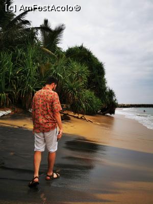 [P65] Mirissa Beach » foto by cata2106
 - 
<span class="allrVoted glyphicon glyphicon-heart hidden" id="av1286585"></span>
<a class="m-l-10 hidden" id="sv1286585" onclick="voting_Foto_DelVot(,1286585,8783)" role="button">șterge vot <span class="glyphicon glyphicon-remove"></span></a>
<a id="v91286585" class=" c-red"  onclick="voting_Foto_SetVot(1286585)" role="button"><span class="glyphicon glyphicon-heart-empty"></span> <b>LIKE</b> = Votează poza</a> <img class="hidden"  id="f1286585W9" src="/imagini/loader.gif" border="0" /><span class="AjErrMes hidden" id="e1286585ErM"></span>