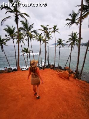 [P71] Coconut Tree Hill » foto by cata2106
 - 
<span class="allrVoted glyphicon glyphicon-heart hidden" id="av1286591"></span>
<a class="m-l-10 hidden" id="sv1286591" onclick="voting_Foto_DelVot(,1286591,8783)" role="button">șterge vot <span class="glyphicon glyphicon-remove"></span></a>
<a id="v91286591" class=" c-red"  onclick="voting_Foto_SetVot(1286591)" role="button"><span class="glyphicon glyphicon-heart-empty"></span> <b>LIKE</b> = Votează poza</a> <img class="hidden"  id="f1286591W9" src="/imagini/loader.gif" border="0" /><span class="AjErrMes hidden" id="e1286591ErM"></span>