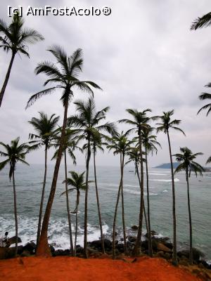 [P72] Coconut Tree Hill » foto by cata2106
 - 
<span class="allrVoted glyphicon glyphicon-heart hidden" id="av1286592"></span>
<a class="m-l-10 hidden" id="sv1286592" onclick="voting_Foto_DelVot(,1286592,8783)" role="button">șterge vot <span class="glyphicon glyphicon-remove"></span></a>
<a id="v91286592" class=" c-red"  onclick="voting_Foto_SetVot(1286592)" role="button"><span class="glyphicon glyphicon-heart-empty"></span> <b>LIKE</b> = Votează poza</a> <img class="hidden"  id="f1286592W9" src="/imagini/loader.gif" border="0" /><span class="AjErrMes hidden" id="e1286592ErM"></span>