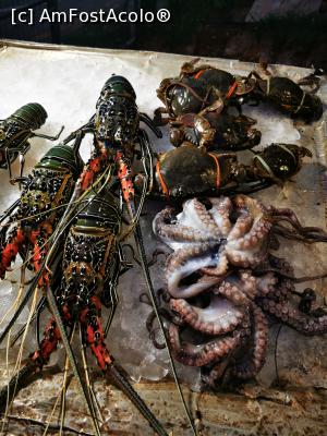 [P75] Homarul nostru viu » foto by cata2106
 - 
<span class="allrVoted glyphicon glyphicon-heart hidden" id="av1286595"></span>
<a class="m-l-10 hidden" id="sv1286595" onclick="voting_Foto_DelVot(,1286595,8783)" role="button">șterge vot <span class="glyphicon glyphicon-remove"></span></a>
<a id="v91286595" class=" c-red"  onclick="voting_Foto_SetVot(1286595)" role="button"><span class="glyphicon glyphicon-heart-empty"></span> <b>LIKE</b> = Votează poza</a> <img class="hidden"  id="f1286595W9" src="/imagini/loader.gif" border="0" /><span class="AjErrMes hidden" id="e1286595ErM"></span>