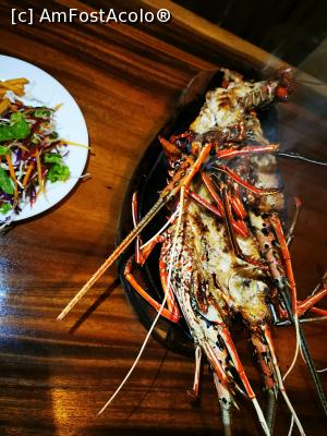 [P76] Homarul gătit » foto by cata2106
 - 
<span class="allrVoted glyphicon glyphicon-heart hidden" id="av1286596"></span>
<a class="m-l-10 hidden" id="sv1286596" onclick="voting_Foto_DelVot(,1286596,8783)" role="button">șterge vot <span class="glyphicon glyphicon-remove"></span></a>
<a id="v91286596" class=" c-red"  onclick="voting_Foto_SetVot(1286596)" role="button"><span class="glyphicon glyphicon-heart-empty"></span> <b>LIKE</b> = Votează poza</a> <img class="hidden"  id="f1286596W9" src="/imagini/loader.gif" border="0" /><span class="AjErrMes hidden" id="e1286596ErM"></span>