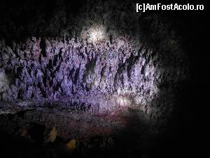 [P22] alti 'lilieci' mov » foto by buterfly*
 - 
<span class="allrVoted glyphicon glyphicon-heart hidden" id="av577145"></span>
<a class="m-l-10 hidden" id="sv577145" onclick="voting_Foto_DelVot(,577145,8786)" role="button">șterge vot <span class="glyphicon glyphicon-remove"></span></a>
<a id="v9577145" class=" c-red"  onclick="voting_Foto_SetVot(577145)" role="button"><span class="glyphicon glyphicon-heart-empty"></span> <b>LIKE</b> = Votează poza</a> <img class="hidden"  id="f577145W9" src="/imagini/loader.gif" border="0" /><span class="AjErrMes hidden" id="e577145ErM"></span>