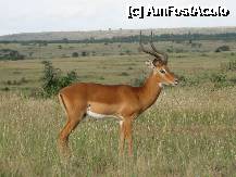 [P39]  -- <small>// FĂRĂ DESCRIERE</small> » foto by ireedeejay
 - 
<span class="allrVoted glyphicon glyphicon-heart hidden" id="av198212"></span>
<a class="m-l-10 hidden" id="sv198212" onclick="voting_Foto_DelVot(,198212,8848)" role="button">șterge vot <span class="glyphicon glyphicon-remove"></span></a>
<a id="v9198212" class=" c-red"  onclick="voting_Foto_SetVot(198212)" role="button"><span class="glyphicon glyphicon-heart-empty"></span> <b>LIKE</b> = Votează poza</a> <img class="hidden"  id="f198212W9" src="/imagini/loader.gif" border="0" /><span class="AjErrMes hidden" id="e198212ErM"></span>