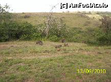 [P49]  -- <small>// FĂRĂ DESCRIERE</small> » foto by ireedeejay
 - 
<span class="allrVoted glyphicon glyphicon-heart hidden" id="av198225"></span>
<a class="m-l-10 hidden" id="sv198225" onclick="voting_Foto_DelVot(,198225,8848)" role="button">șterge vot <span class="glyphicon glyphicon-remove"></span></a>
<a id="v9198225" class=" c-red"  onclick="voting_Foto_SetVot(198225)" role="button"><span class="glyphicon glyphicon-heart-empty"></span> <b>LIKE</b> = Votează poza</a> <img class="hidden"  id="f198225W9" src="/imagini/loader.gif" border="0" /><span class="AjErrMes hidden" id="e198225ErM"></span>