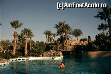 [P09] Subsemnatul la piscina. » foto by velker tiberiu
 - 
<span class="allrVoted glyphicon glyphicon-heart hidden" id="av197459"></span>
<a class="m-l-10 hidden" id="sv197459" onclick="voting_Foto_DelVot(,197459,8850)" role="button">șterge vot <span class="glyphicon glyphicon-remove"></span></a>
<a id="v9197459" class=" c-red"  onclick="voting_Foto_SetVot(197459)" role="button"><span class="glyphicon glyphicon-heart-empty"></span> <b>LIKE</b> = Votează poza</a> <img class="hidden"  id="f197459W9" src="/imagini/loader.gif" border="0" /><span class="AjErrMes hidden" id="e197459ErM"></span>