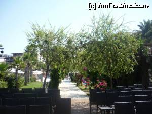 [P53]  -- <small>// FĂRĂ DESCRIERE</small> » foto by goroco
 - 
<span class="allrVoted glyphicon glyphicon-heart hidden" id="av357864"></span>
<a class="m-l-10 hidden" id="sv357864" onclick="voting_Foto_DelVot(,357864,8879)" role="button">șterge vot <span class="glyphicon glyphicon-remove"></span></a>
<a id="v9357864" class=" c-red"  onclick="voting_Foto_SetVot(357864)" role="button"><span class="glyphicon glyphicon-heart-empty"></span> <b>LIKE</b> = Votează poza</a> <img class="hidden"  id="f357864W9" src="/imagini/loader.gif" border="0" /><span class="AjErrMes hidden" id="e357864ErM"></span>
