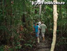 [P15] jungla - delta fluviului Orinoco » foto by Danaeb
 - 
<span class="allrVoted glyphicon glyphicon-heart hidden" id="av227980"></span>
<a class="m-l-10 hidden" id="sv227980" onclick="voting_Foto_DelVot(,227980,8898)" role="button">șterge vot <span class="glyphicon glyphicon-remove"></span></a>
<a id="v9227980" class=" c-red"  onclick="voting_Foto_SetVot(227980)" role="button"><span class="glyphicon glyphicon-heart-empty"></span> <b>LIKE</b> = Votează poza</a> <img class="hidden"  id="f227980W9" src="/imagini/loader.gif" border="0" /><span class="AjErrMes hidden" id="e227980ErM"></span>