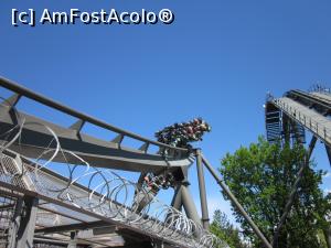 [P08] Raptor!!!... again :D » foto by ariciu*
 - 
<span class="allrVoted glyphicon glyphicon-heart hidden" id="av734600"></span>
<a class="m-l-10 hidden" id="sv734600" onclick="voting_Foto_DelVot(,734600,8903)" role="button">șterge vot <span class="glyphicon glyphicon-remove"></span></a>
<a id="v9734600" class=" c-red"  onclick="voting_Foto_SetVot(734600)" role="button"><span class="glyphicon glyphicon-heart-empty"></span> <b>LIKE</b> = Votează poza</a> <img class="hidden"  id="f734600W9" src="/imagini/loader.gif" border="0" /><span class="AjErrMes hidden" id="e734600ErM"></span>