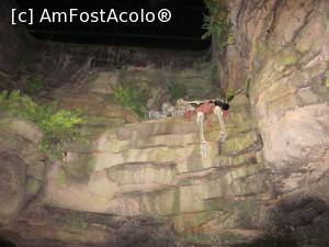 [P05] I Corsari - traseu pirați » foto by ariciu*
 - 
<span class="allrVoted glyphicon glyphicon-heart hidden" id="av825314"></span>
<a class="m-l-10 hidden" id="sv825314" onclick="voting_Foto_DelVot(,825314,8903)" role="button">șterge vot <span class="glyphicon glyphicon-remove"></span></a>
<a id="v9825314" class=" c-red"  onclick="voting_Foto_SetVot(825314)" role="button"><span class="glyphicon glyphicon-heart-empty"></span> <b>LIKE</b> = Votează poza</a> <img class="hidden"  id="f825314W9" src="/imagini/loader.gif" border="0" /><span class="AjErrMes hidden" id="e825314ErM"></span>