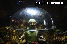 [P09] clopotul de sticla destina sedintelor foto » foto by santana*
 - 
<span class="allrVoted glyphicon glyphicon-heart hidden" id="av156713"></span>
<a class="m-l-10 hidden" id="sv156713" onclick="voting_Foto_DelVot(,156713,8903)" role="button">șterge vot <span class="glyphicon glyphicon-remove"></span></a>
<a id="v9156713" class=" c-red"  onclick="voting_Foto_SetVot(156713)" role="button"><span class="glyphicon glyphicon-heart-empty"></span> <b>LIKE</b> = Votează poza</a> <img class="hidden"  id="f156713W9" src="/imagini/loader.gif" border="0" /><span class="AjErrMes hidden" id="e156713ErM"></span>