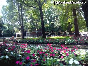 [P13] Multa verdeata » foto by claudiu 71
 - 
<span class="allrVoted glyphicon glyphicon-heart hidden" id="av653456"></span>
<a class="m-l-10 hidden" id="sv653456" onclick="voting_Foto_DelVot(,653456,8903)" role="button">șterge vot <span class="glyphicon glyphicon-remove"></span></a>
<a id="v9653456" class=" c-red"  onclick="voting_Foto_SetVot(653456)" role="button"><span class="glyphicon glyphicon-heart-empty"></span> <b>LIKE</b> = Votează poza</a> <img class="hidden"  id="f653456W9" src="/imagini/loader.gif" border="0" /><span class="AjErrMes hidden" id="e653456ErM"></span>