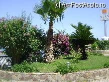 [P15] Holiday Park Resort Alanya - zona verde la intrarea in hotel, alaturi Hotelul Stella » foto by biancuta
 - 
<span class="allrVoted glyphicon glyphicon-heart hidden" id="av207657"></span>
<a class="m-l-10 hidden" id="sv207657" onclick="voting_Foto_DelVot(,207657,8918)" role="button">șterge vot <span class="glyphicon glyphicon-remove"></span></a>
<a id="v9207657" class=" c-red"  onclick="voting_Foto_SetVot(207657)" role="button"><span class="glyphicon glyphicon-heart-empty"></span> <b>LIKE</b> = Votează poza</a> <img class="hidden"  id="f207657W9" src="/imagini/loader.gif" border="0" /><span class="AjErrMes hidden" id="e207657ErM"></span>