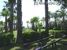 [P25] Holiday Park Resort Alanya - spatiu verde » foto by biancuta
 - 
<span class="allrVoted glyphicon glyphicon-heart hidden" id="av207672"></span>
<a class="m-l-10 hidden" id="sv207672" onclick="voting_Foto_DelVot(,207672,8918)" role="button">șterge vot <span class="glyphicon glyphicon-remove"></span></a>
<a id="v9207672" class=" c-red"  onclick="voting_Foto_SetVot(207672)" role="button"><span class="glyphicon glyphicon-heart-empty"></span> <b>LIKE</b> = Votează poza</a> <img class="hidden"  id="f207672W9" src="/imagini/loader.gif" border="0" /><span class="AjErrMes hidden" id="e207672ErM"></span>