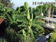 [P02]  -- <small>// FĂRĂ DESCRIERE</small> » foto by basaku
 - 
<span class="allrVoted glyphicon glyphicon-heart hidden" id="av1925"></span>
<a class="m-l-10 hidden" id="sv1925" onclick="voting_Foto_DelVot(,1925,8918)" role="button">șterge vot <span class="glyphicon glyphicon-remove"></span></a>
<a id="v91925" class=" c-red"  onclick="voting_Foto_SetVot(1925)" role="button"><span class="glyphicon glyphicon-heart-empty"></span> <b>LIKE</b> = Votează poza</a> <img class="hidden"  id="f1925W9" src="/imagini/loader.gif" border="0" /><span class="AjErrMes hidden" id="e1925ErM"></span>