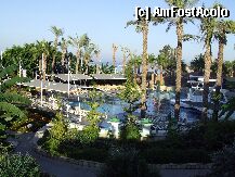 [P05]  -- <small>// FĂRĂ DESCRIERE</small> » foto by basaku
 - 
<span class="allrVoted glyphicon glyphicon-heart hidden" id="av1931"></span>
<a class="m-l-10 hidden" id="sv1931" onclick="voting_Foto_DelVot(,1931,8918)" role="button">șterge vot <span class="glyphicon glyphicon-remove"></span></a>
<a id="v91931" class=" c-red"  onclick="voting_Foto_SetVot(1931)" role="button"><span class="glyphicon glyphicon-heart-empty"></span> <b>LIKE</b> = Votează poza</a> <img class="hidden"  id="f1931W9" src="/imagini/loader.gif" border="0" /><span class="AjErrMes hidden" id="e1931ErM"></span>