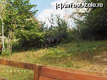 [P08]  -- <small>// FĂRĂ DESCRIERE</small> » foto by trsmro*
 - 
<span class="allrVoted glyphicon glyphicon-heart hidden" id="av260946"></span>
<a class="m-l-10 hidden" id="sv260946" onclick="voting_Foto_DelVot(,260946,8931)" role="button">șterge vot <span class="glyphicon glyphicon-remove"></span></a>
<a id="v9260946" class=" c-red"  onclick="voting_Foto_SetVot(260946)" role="button"><span class="glyphicon glyphicon-heart-empty"></span> <b>LIKE</b> = Votează poza</a> <img class="hidden"  id="f260946W9" src="/imagini/loader.gif" border="0" /><span class="AjErrMes hidden" id="e260946ErM"></span>