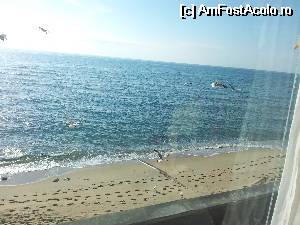 [P36] Si... revenim la imaginea de vis... !  » foto by ROMY
 - 
<span class="allrVoted glyphicon glyphicon-heart hidden" id="av506167"></span>
<a class="m-l-10 hidden" id="sv506167" onclick="voting_Foto_DelVot(,506167,8957)" role="button">șterge vot <span class="glyphicon glyphicon-remove"></span></a>
<a id="v9506167" class=" c-red"  onclick="voting_Foto_SetVot(506167)" role="button"><span class="glyphicon glyphicon-heart-empty"></span> <b>LIKE</b> = Votează poza</a> <img class="hidden"  id="f506167W9" src="/imagini/loader.gif" border="0" /><span class="AjErrMes hidden" id="e506167ErM"></span>