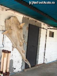 [P34] muzeul marinei » foto by travoice
 - 
<span class="allrVoted glyphicon glyphicon-heart hidden" id="av202396"></span>
<a class="m-l-10 hidden" id="sv202396" onclick="voting_Foto_DelVot(,202396,8958)" role="button">șterge vot <span class="glyphicon glyphicon-remove"></span></a>
<a id="v9202396" class=" c-red"  onclick="voting_Foto_SetVot(202396)" role="button"><span class="glyphicon glyphicon-heart-empty"></span> <b>LIKE</b> = Votează poza</a> <img class="hidden"  id="f202396W9" src="/imagini/loader.gif" border="0" /><span class="AjErrMes hidden" id="e202396ErM"></span>