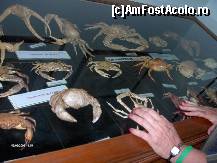 [P35] muzeul marinei » foto by travoice
 - 
<span class="allrVoted glyphicon glyphicon-heart hidden" id="av202397"></span>
<a class="m-l-10 hidden" id="sv202397" onclick="voting_Foto_DelVot(,202397,8958)" role="button">șterge vot <span class="glyphicon glyphicon-remove"></span></a>
<a id="v9202397" class=" c-red"  onclick="voting_Foto_SetVot(202397)" role="button"><span class="glyphicon glyphicon-heart-empty"></span> <b>LIKE</b> = Votează poza</a> <img class="hidden"  id="f202397W9" src="/imagini/loader.gif" border="0" /><span class="AjErrMes hidden" id="e202397ErM"></span>