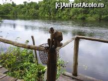 [P52] am ajuns la debarcadier » foto by travoice
 - 
<span class="allrVoted glyphicon glyphicon-heart hidden" id="av202497"></span>
<a class="m-l-10 hidden" id="sv202497" onclick="voting_Foto_DelVot(,202497,8958)" role="button">șterge vot <span class="glyphicon glyphicon-remove"></span></a>
<a id="v9202497" class=" c-red"  onclick="voting_Foto_SetVot(202497)" role="button"><span class="glyphicon glyphicon-heart-empty"></span> <b>LIKE</b> = Votează poza</a> <img class="hidden"  id="f202497W9" src="/imagini/loader.gif" border="0" /><span class="AjErrMes hidden" id="e202497ErM"></span>