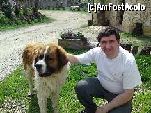 [P01] El este Mark mascota pensiunii. » foto by mihai_bisniss
 - 
<span class="allrVoted glyphicon glyphicon-heart hidden" id="av206563"></span>
<a class="m-l-10 hidden" id="sv206563" onclick="voting_Foto_DelVot(,206563,8970)" role="button">șterge vot <span class="glyphicon glyphicon-remove"></span></a>
<a id="v9206563" class=" c-red"  onclick="voting_Foto_SetVot(206563)" role="button"><span class="glyphicon glyphicon-heart-empty"></span> <b>LIKE</b> = Votează poza</a> <img class="hidden"  id="f206563W9" src="/imagini/loader.gif" border="0" /><span class="AjErrMes hidden" id="e206563ErM"></span>