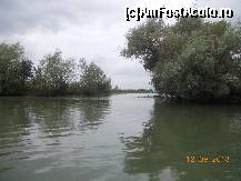 [P20] Drumul fara pulbere » foto by rodica1016
 - 
<span class="allrVoted glyphicon glyphicon-heart hidden" id="av471775"></span>
<a class="m-l-10 hidden" id="sv471775" onclick="voting_Foto_DelVot(,471775,8983)" role="button">șterge vot <span class="glyphicon glyphicon-remove"></span></a>
<a id="v9471775" class=" c-red"  onclick="voting_Foto_SetVot(471775)" role="button"><span class="glyphicon glyphicon-heart-empty"></span> <b>LIKE</b> = Votează poza</a> <img class="hidden"  id="f471775W9" src="/imagini/loader.gif" border="0" /><span class="AjErrMes hidden" id="e471775ErM"></span>