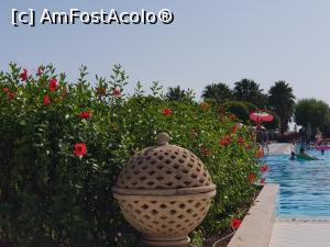 [P32] Hilton Dalaman Sarigerme - la piscină » foto by nicole33
 - 
<span class="allrVoted glyphicon glyphicon-heart hidden" id="av1205224"></span>
<a class="m-l-10 hidden" id="sv1205224" onclick="voting_Foto_DelVot(,1205224,9010)" role="button">șterge vot <span class="glyphicon glyphicon-remove"></span></a>
<a id="v91205224" class=" c-red"  onclick="voting_Foto_SetVot(1205224)" role="button"><span class="glyphicon glyphicon-heart-empty"></span> <b>LIKE</b> = Votează poza</a> <img class="hidden"  id="f1205224W9" src="/imagini/loader.gif" border="0" /><span class="AjErrMes hidden" id="e1205224ErM"></span>