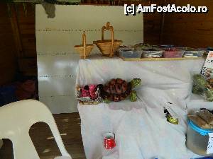 [P21] Sala de mese » foto by Dabator
 - 
<span class="allrVoted glyphicon glyphicon-heart hidden" id="av505036"></span>
<a class="m-l-10 hidden" id="sv505036" onclick="voting_Foto_DelVot(,505036,9011)" role="button">șterge vot <span class="glyphicon glyphicon-remove"></span></a>
<a id="v9505036" class=" c-red"  onclick="voting_Foto_SetVot(505036)" role="button"><span class="glyphicon glyphicon-heart-empty"></span> <b>LIKE</b> = Votează poza</a> <img class="hidden"  id="f505036W9" src="/imagini/loader.gif" border="0" /><span class="AjErrMes hidden" id="e505036ErM"></span>