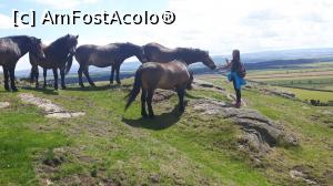 [P20] Poneii de pe North Berwick Law » foto by ovi4x4
 - 
<span class="allrVoted glyphicon glyphicon-heart hidden" id="av879882"></span>
<a class="m-l-10 hidden" id="sv879882" onclick="voting_Foto_DelVot(,879882,9014)" role="button">șterge vot <span class="glyphicon glyphicon-remove"></span></a>
<a id="v9879882" class=" c-red"  onclick="voting_Foto_SetVot(879882)" role="button"><span class="glyphicon glyphicon-heart-empty"></span> <b>LIKE</b> = Votează poza</a> <img class="hidden"  id="f879882W9" src="/imagini/loader.gif" border="0" /><span class="AjErrMes hidden" id="e879882ErM"></span>