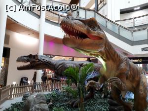 [P22] Mall-ul din Leith prin care se face accesul la Yahtul Regal Brittannia.  » foto by Aurici
 - 
<span class="allrVoted glyphicon glyphicon-heart hidden" id="av908009"></span>
<a class="m-l-10 hidden" id="sv908009" onclick="voting_Foto_DelVot(,908009,9014)" role="button">șterge vot <span class="glyphicon glyphicon-remove"></span></a>
<a id="v9908009" class=" c-red"  onclick="voting_Foto_SetVot(908009)" role="button"><span class="glyphicon glyphicon-heart-empty"></span> <b>LIKE</b> = Votează poza</a> <img class="hidden"  id="f908009W9" src="/imagini/loader.gif" border="0" /><span class="AjErrMes hidden" id="e908009ErM"></span>