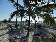 [P10] ce poate fi mai minunat ? nisip fin,sezlonguri libere, palmieri,ocean )) » foto by andreea72
 - 
<span class="allrVoted glyphicon glyphicon-heart hidden" id="av313016"></span>
<a class="m-l-10 hidden" id="sv313016" onclick="voting_Foto_DelVot(,313016,9056)" role="button">șterge vot <span class="glyphicon glyphicon-remove"></span></a>
<a id="v9313016" class=" c-red"  onclick="voting_Foto_SetVot(313016)" role="button"><span class="glyphicon glyphicon-heart-empty"></span> <b>LIKE</b> = Votează poza</a> <img class="hidden"  id="f313016W9" src="/imagini/loader.gif" border="0" /><span class="AjErrMes hidden" id="e313016ErM"></span>