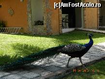 [P24] seful in inspectie pe la vilute- e ok totul ? » foto by andreea72
 - 
<span class="allrVoted glyphicon glyphicon-heart hidden" id="av313049"></span>
<a class="m-l-10 hidden" id="sv313049" onclick="voting_Foto_DelVot(,313049,9056)" role="button">șterge vot <span class="glyphicon glyphicon-remove"></span></a>
<a id="v9313049" class=" c-red"  onclick="voting_Foto_SetVot(313049)" role="button"><span class="glyphicon glyphicon-heart-empty"></span> <b>LIKE</b> = Votează poza</a> <img class="hidden"  id="f313049W9" src="/imagini/loader.gif" border="0" /><span class="AjErrMes hidden" id="e313049ErM"></span>